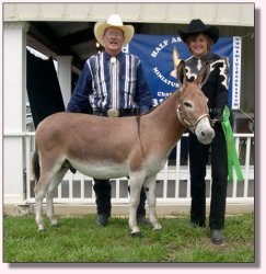 My World Digger winning 6th out of 19 entries at The Great American Mule & Donkey Show in Shelbyville, Tennessee 2004!!!