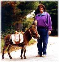 Miniature Donkey My World Victor (7082 bytes)